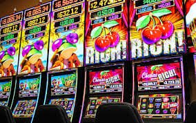 3355bet8 3355bet8